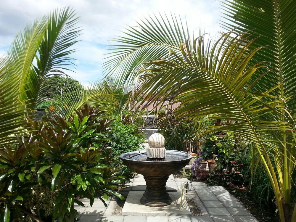 Donchai House Guest House& Cafe Chiang Mai Ngoại thất bức ảnh